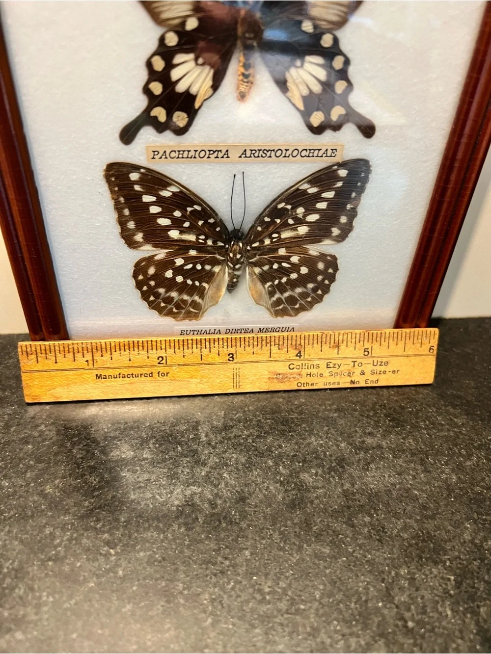 Three-Butterfly Framed Wall Art in Brown Wood Frame